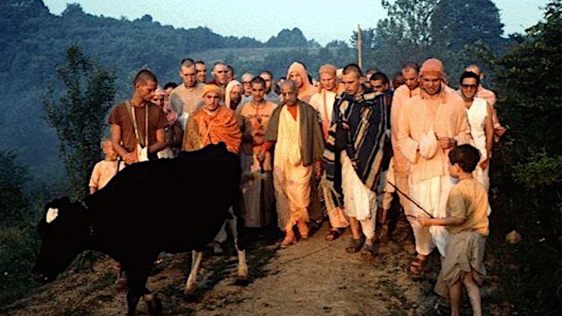 File:Srila-Prabhupada-Hero-10.jpg
