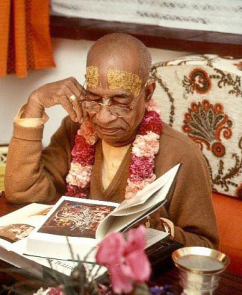 Śrīla Prabhupāda reading a book